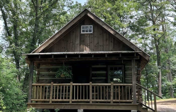 Tadpole Cabin at Creek Road Farm