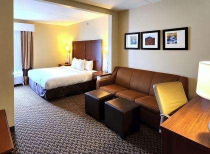 Comfort Inn & Suites Mount Pocono