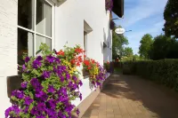 Hotel Restaurant Daute - Wifi