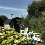 Guesthouse de Witte Merel Deluxe Hôtels à : Heusden-Zolder