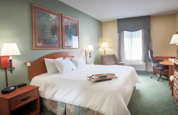 希爾頓歡朋酒店-温特黑文