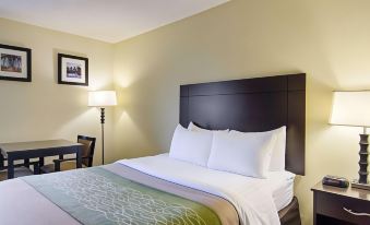 Quality Inn & Suites Little Rock West