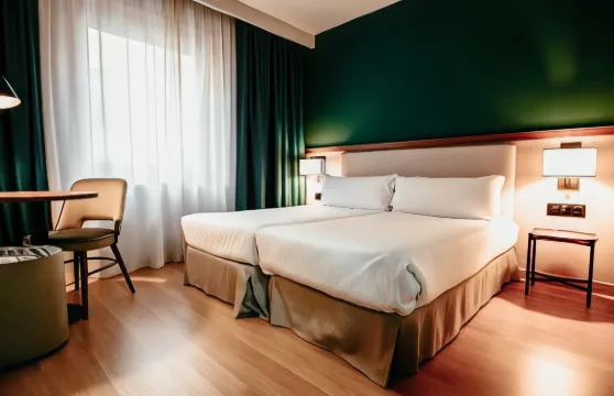 美利亞附屬埃爾切中心酒店