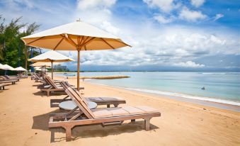 Bali Eco Living Yoga Healing Meditation and Retreat Center