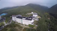 Gaya Hotel Hotels in 