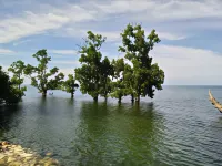 Morowali Beach Hotel Hotels in Central Bungku