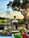 Karongwe Portfolio - Chisomo Safari Camp Hotel a Tzaneen