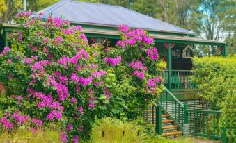 Observatory Cottages