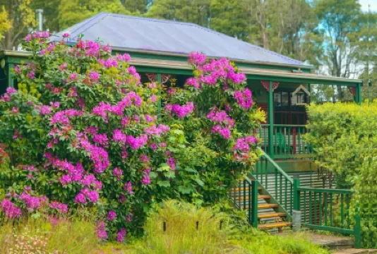 Observatory Cottages
