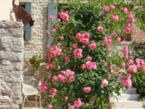 Le Zitelle di Ron Hotels in Valdobbiadene