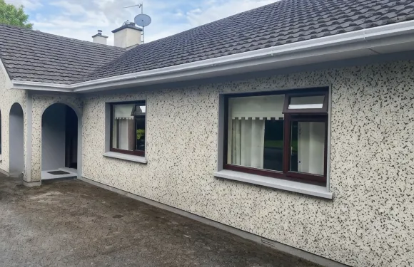 棕櫚樹林住宿加早餐旅館