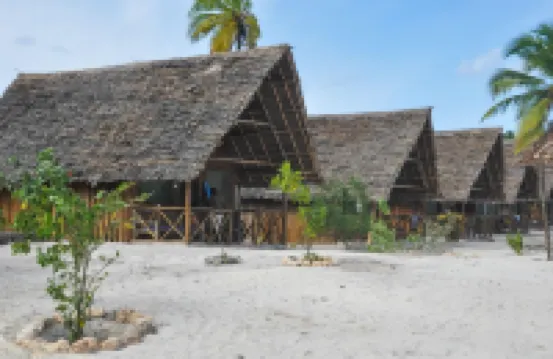 New Jambo Bungalows - Hostel