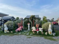 Green Zone Resorts hotel Hotels in 