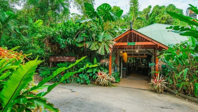 Heritage Lodge - in the Daintree