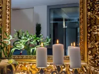 Hotel Rhyhof Отели в г. Штайн-на-Рейне