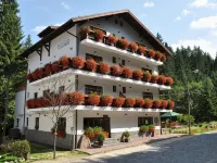 Pensiunea Anotimpuri Hotels in Predeal