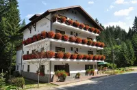 Pensiunea Anotimpuri Hotels in 