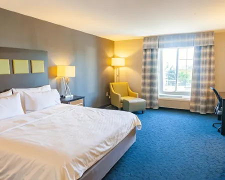 ホリデイ イン エクスプレス & スイーツ ジャクソン by IHG ブラックマンのホテル