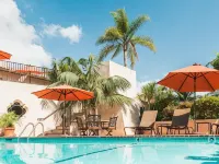 Brisas Del Mar Inn at the Beach Hotels near Moreton Bay Fig Tree