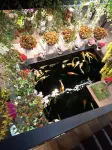 Hiep Yen Hotel