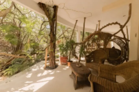 Casa Ambar Hotel & Boutique Tulum