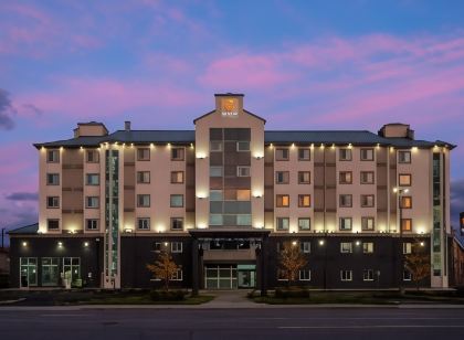 Comfort Hotel