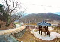 Danyang Picnic Day Pension