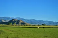 Groovy Country Pad in a Serene Setting - Homestays