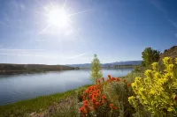 Toiyabe Motel - Pet friendly