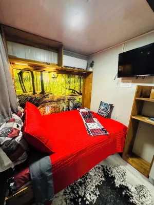 Fun little get away, perfect for one yet cozy for two “Hunter’s Hut” - 2-Star