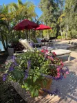 NEW LAKE HOUSE Just remodeled  All newly furnished with comfort in mind. - 4-Star