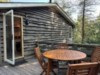 Relaxing 3 Br Mountain Cabin - balcony