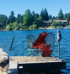 Cozy Studio 1BR, Home Lake View Full Access to Lake 6min to Airport.