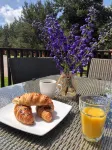 Beautiful 3 bedroom lodge with hot tub in stunning Northumberland