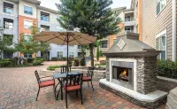 Home Felt Apartment/ NRG/MED CENTER/GALLERIA - Condos