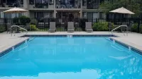 New Remodel! Lakeside Condo w/ Pool, Kayaks, Bikes - piscina