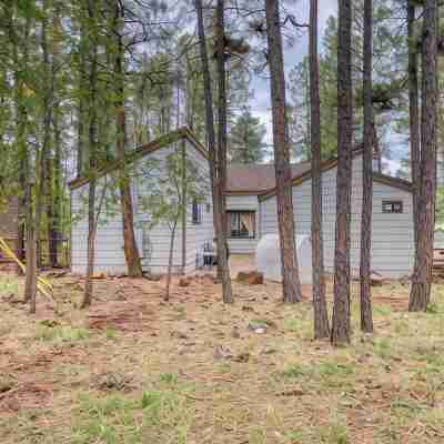 Black Bear Retreat - Wonderful 3 bed cabin in Pinetop with a fenced yard & Wifi. Hotel Exterior