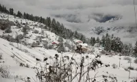 The Snow City Auli