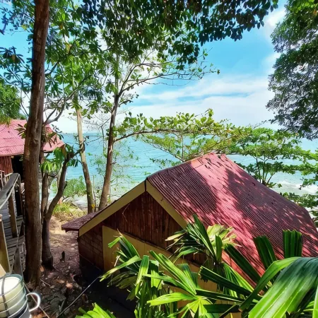 Jungle Hill Beach Bungalow