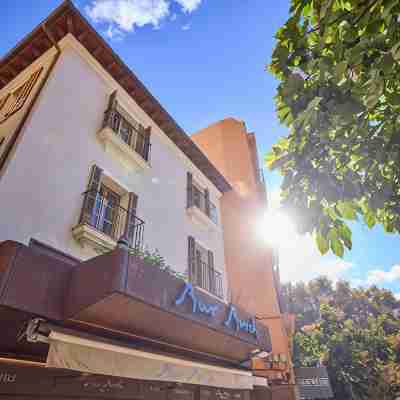 Hotel Bosch Boutique Hotel Exterior