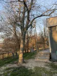 Cozy Country Cottage; Family RetreatJust Minutes from Circle T Arena
