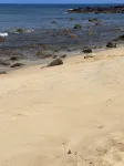 Tranquility on West Moloka'i - พร้อมWifi