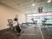 Equus Inn I75 - Gym