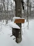Super Fresh Apartment Near Jay Peak! - Apartments
