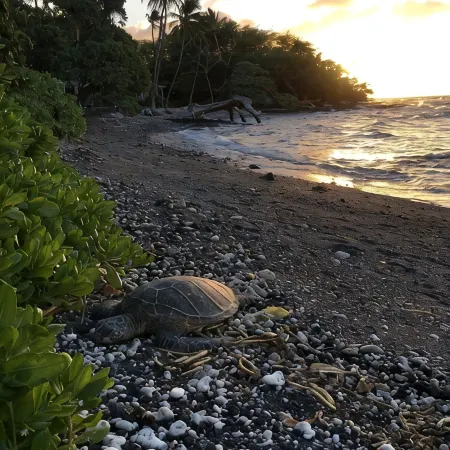 Private beach front property, the perfect getaway! Enjoy our slice of paradise.