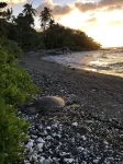 Private beach front property, the perfect getaway! Enjoy our slice of paradise. - Beach