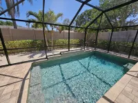 Family Poolside Paradise on Quiet Cul-de-Sac 4.7 Miles from Siesta Key Beach - สระว่ายน้ำส่วนตัว