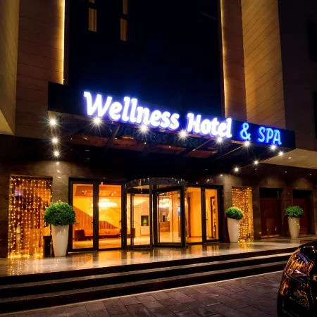 Wellness Hotel and Spa
