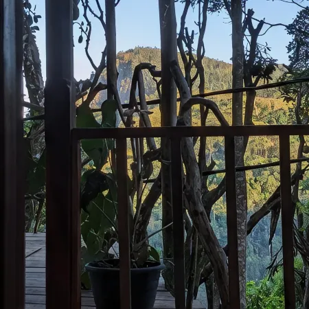 Ella Nature Nest