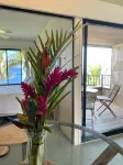 Sealodge J7 - 2BR/2BA, 2nd Floor Prime End Unit, Spectacular Oceanfront Views - 3-Star